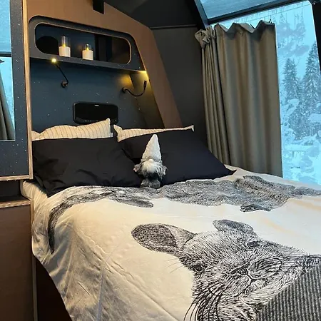 Vikajarvi Lake View Experience ラグジュアリーテント ロヴァニエミ